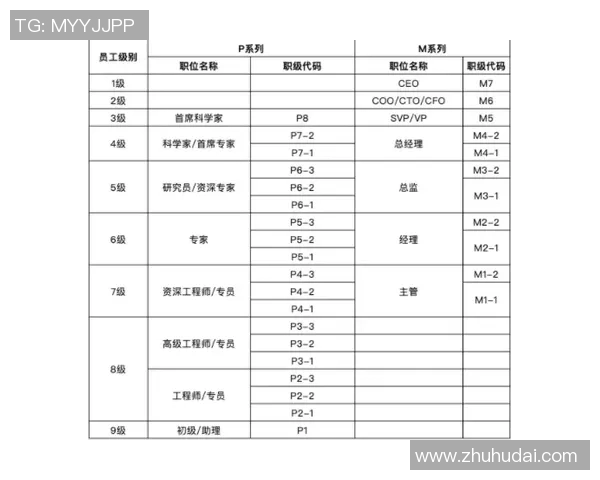 球员经纪人制度揭秘 球员经纪人制度揭秘